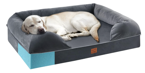 Choosing the Best Beds for Arthritic Dogs Optimal Comfort